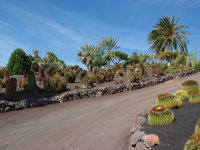 ES, Fuerteventura, La Lajita Oasis Park  7261